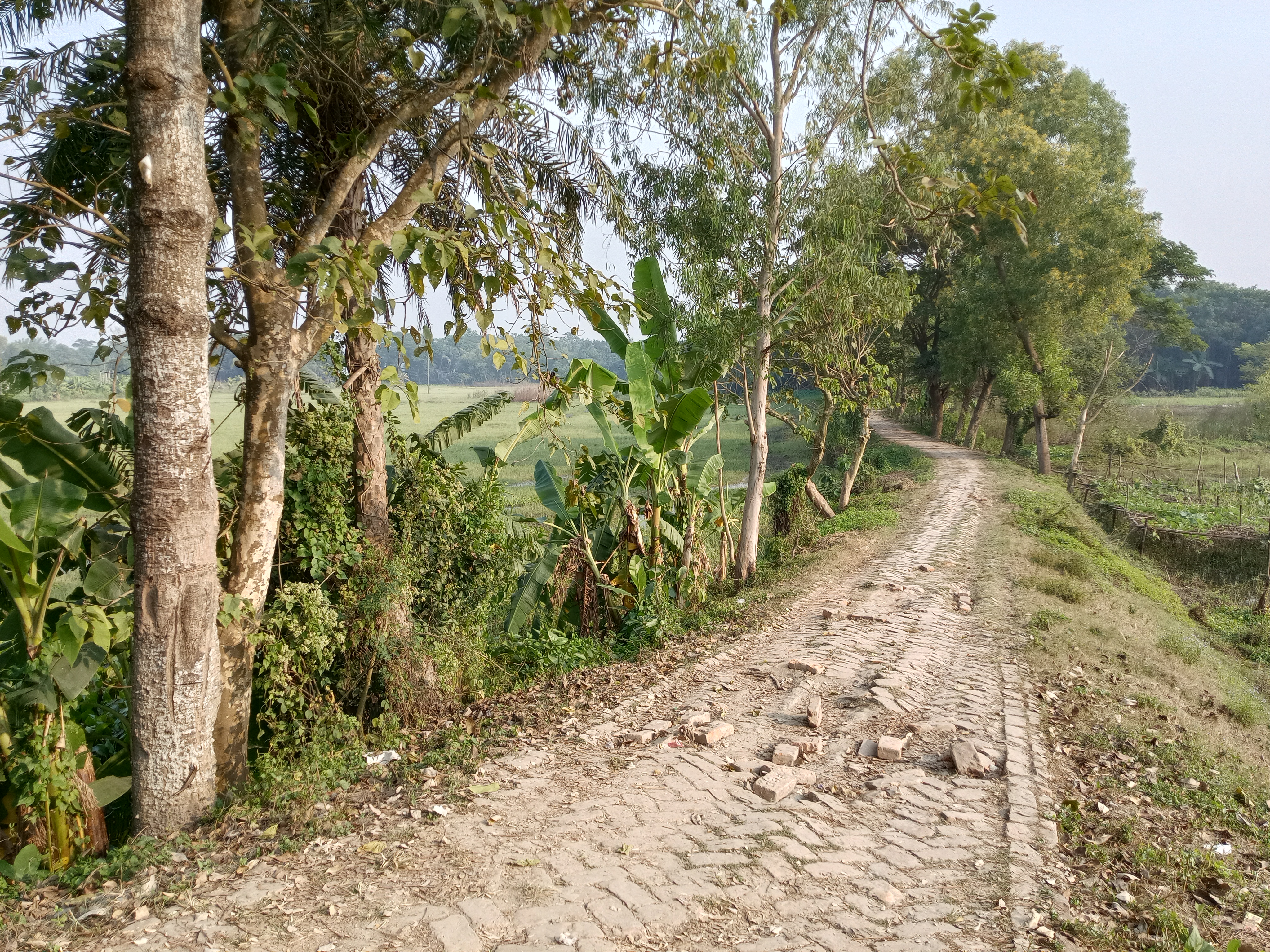 গ্রামীণ জীবনের একটি দৃশ্য